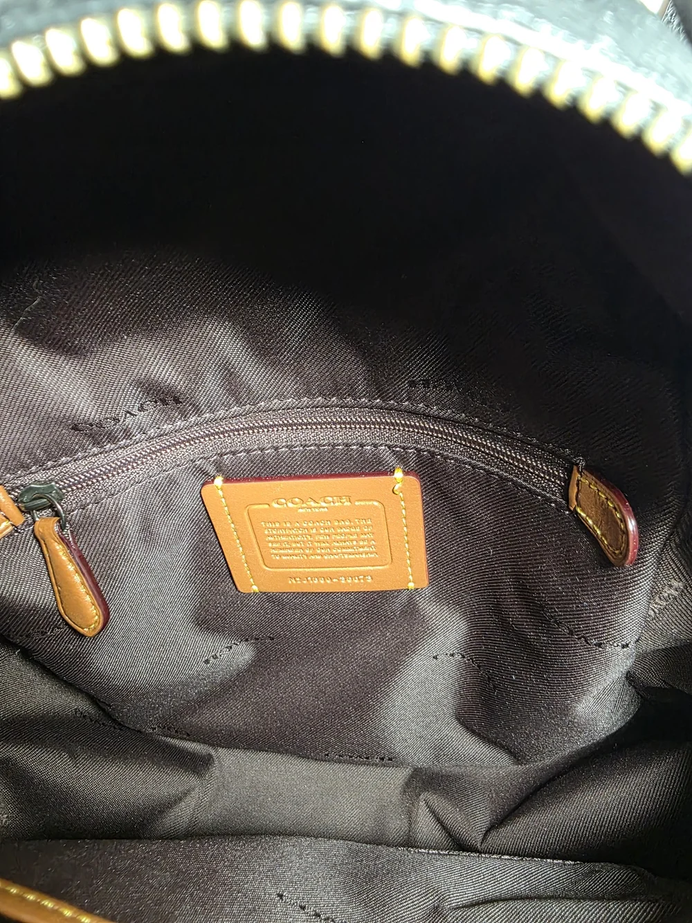 Coach Campus Backpack 23 Black Pebble Leather Gray Snakeskin Mini Backpack 2019